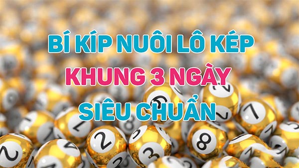 Nuôi bạch thủ lô kép khung 3 ngày Nuôi bạch thủ lô kép khung 3 ngày
